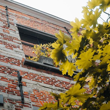 Ferienwohnung Duplex In Historical Centre With Private Courtyard Antwerpen Exterior foto